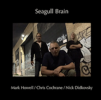Seagull Brain - Mark Howell and Chris Cochrane and Nick Didkovsky