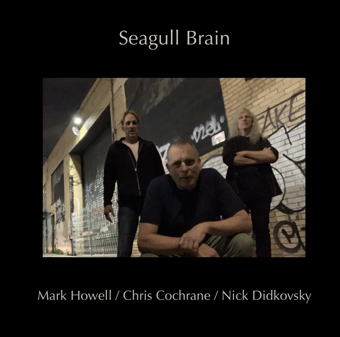 Seagull Brain